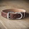 leather dog collar brown