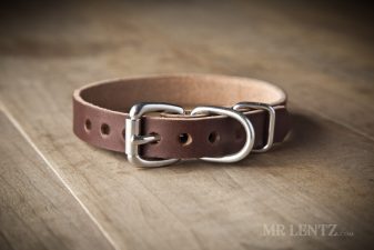 leather dog collar brown