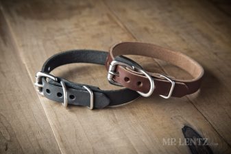 leather dog collar for small dogs