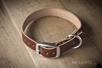 leather dog collar for medium dogs