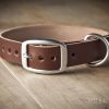 leather dog collar for medium dogs