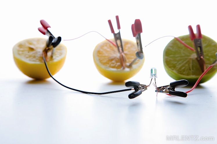 LemonBattery_0028.jpg