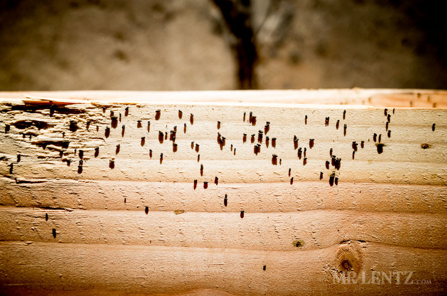 picnic-table-diy_0014