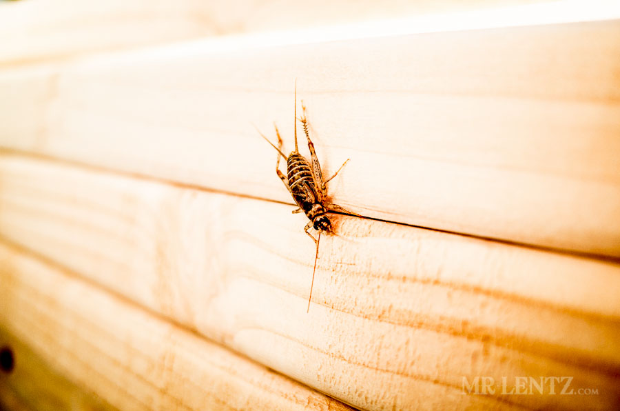 picnic-table-diy_0023